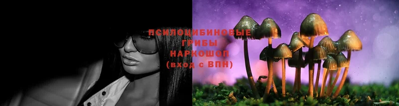 Галлюциногенные грибы Magic Shrooms  как найти закладки  Тетюши 