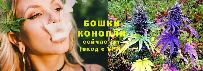 купить  сайты  Тетюши  Канабис White Widow 